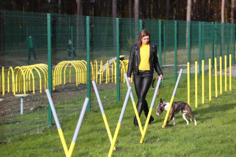 В Липецке оборудуют собачий парк