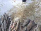 В Липецкой области задержали рыбаков-браконьеров