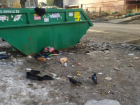 В 15 микрорайоне Липецка разворачивается настоящая мусорная катастрофа