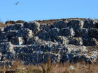 В Липецкой области откроют новый мусороперерабатывающий кластер