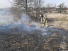 В Липецкой области массово горит сухая трава