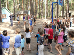 Три детских лагеря примут посетителей уже в конце марта