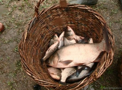 На Матырском водохранилище задержали браконьеров
