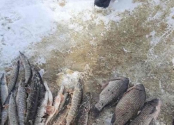 В Липецкой области задержали рыбаков-браконьеров