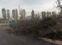 Жители Тербунов жалуются на мусорный полигон
