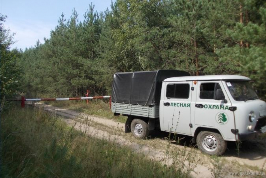 В Липецкой области продлили запрет на посещение лесных массивов 