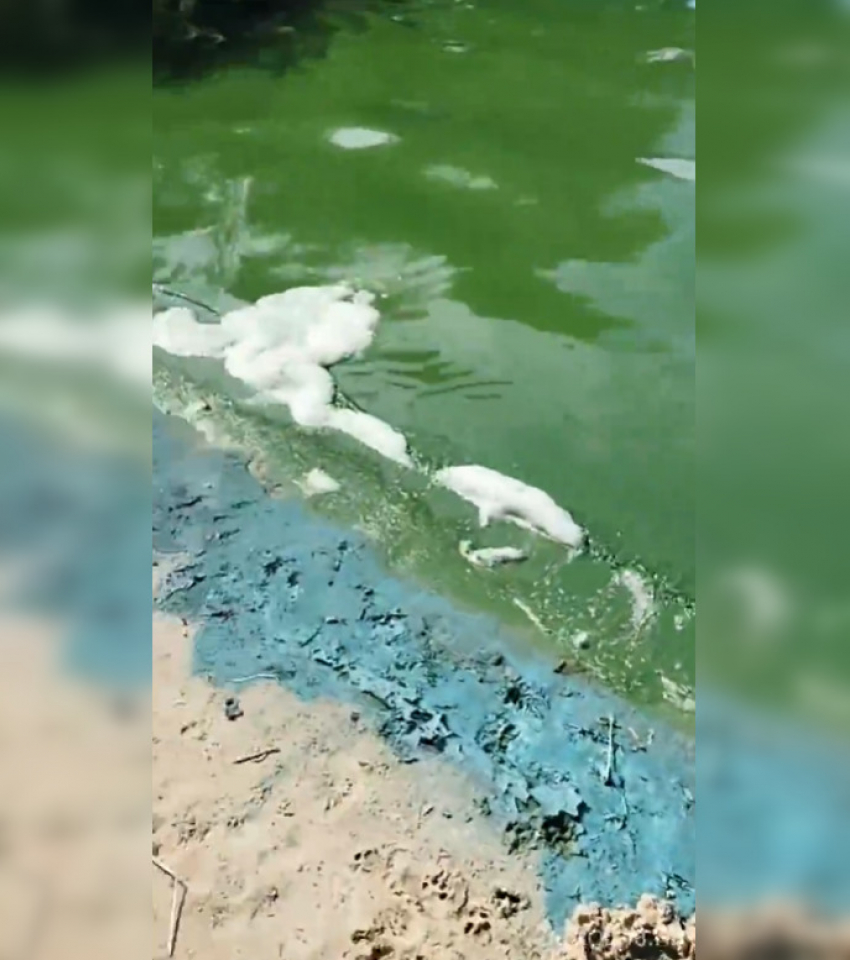 Липецкие экологи объяснили «странный цвет» в Матырском водохранилище