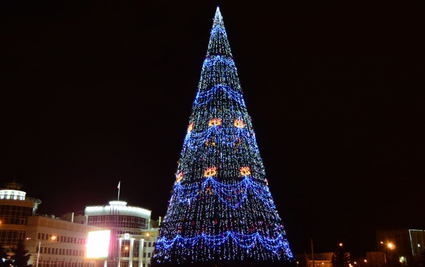 В общественных пространствах Липецка появляются новогодние елки