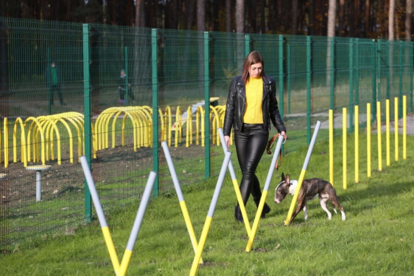 В Липецке оборудуют собачий парк 